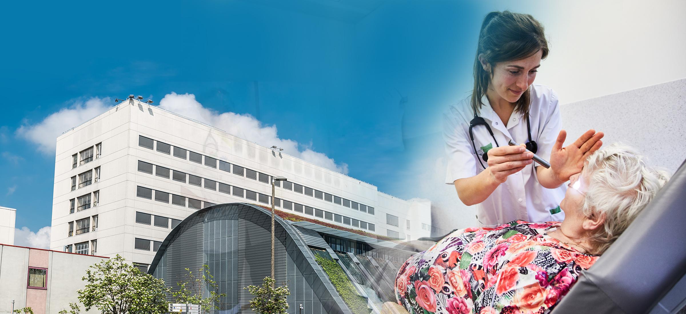 GF_Header 2 GF_Header 2