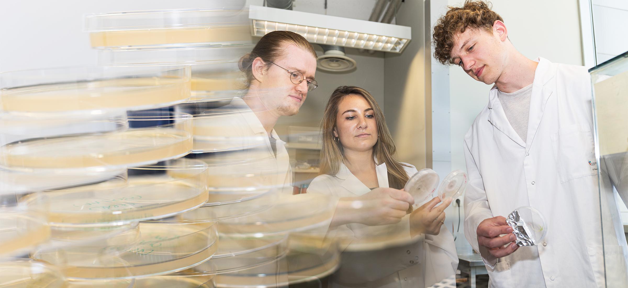 header cel- en genbiotechnologie header cel- en genbiotechnologie