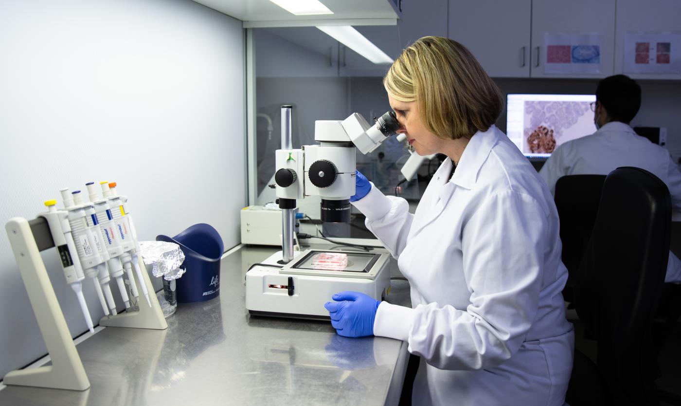 Onderzoek in labo met microscoop voor Wereld Kankerdags bij UZ (Universitair Ziekenhuis Brussel) Onderzoek in labo met microscoop voor Wereld Kankerdags bij UZ (Universitair Ziekenhuis Brussel)