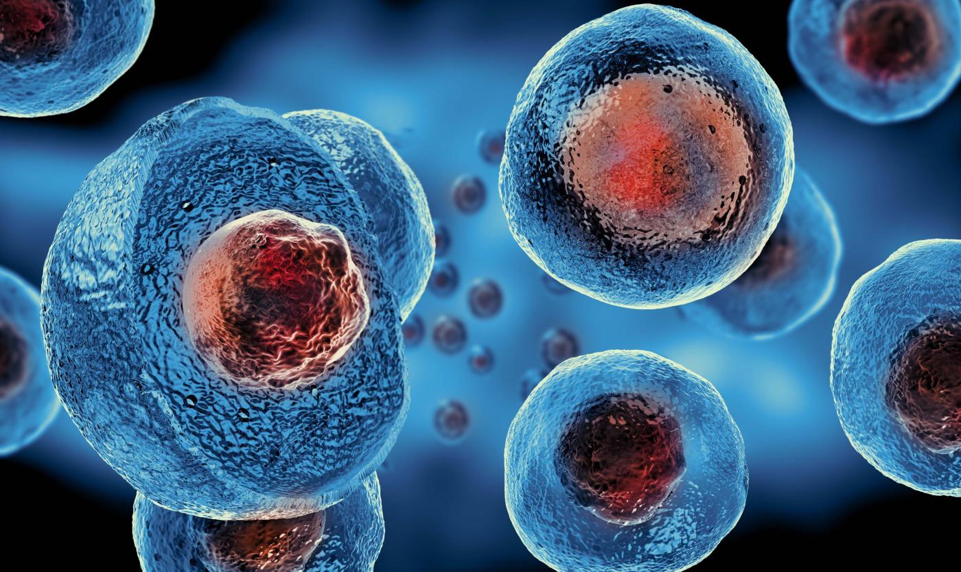 2022_Embryonale stamcellen_Cellulaire therapie_3d rendering_S_768933475.jpg
