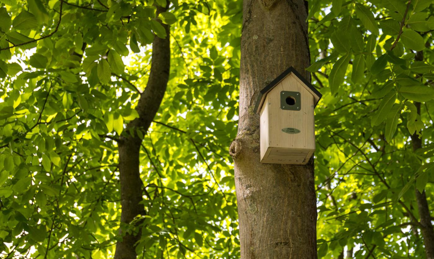 2022_Living Campus Walk_Vogelkastje in het groen_VUB