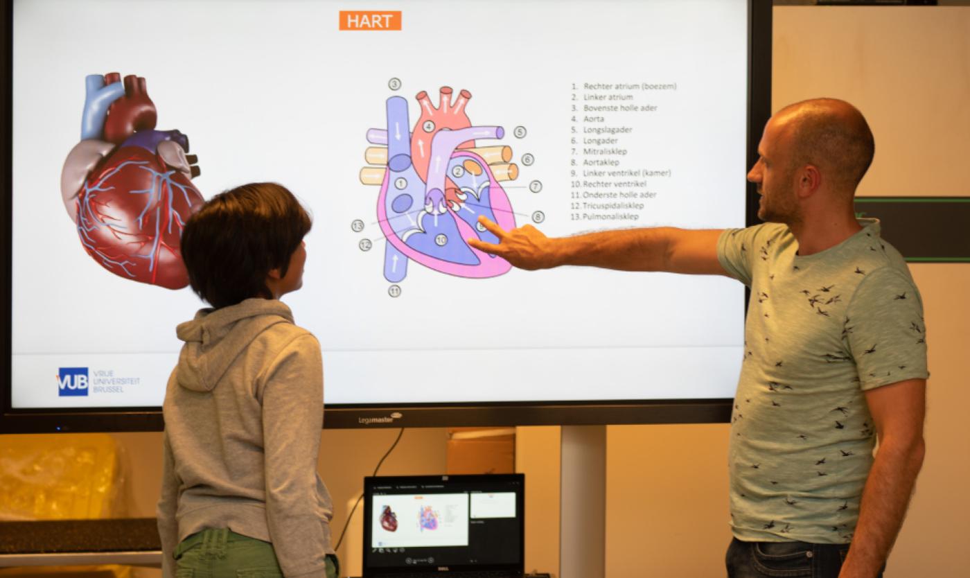 2022_Docent legt de werking van het hart uit aan een kind_Kinderuniversiteit_VUB