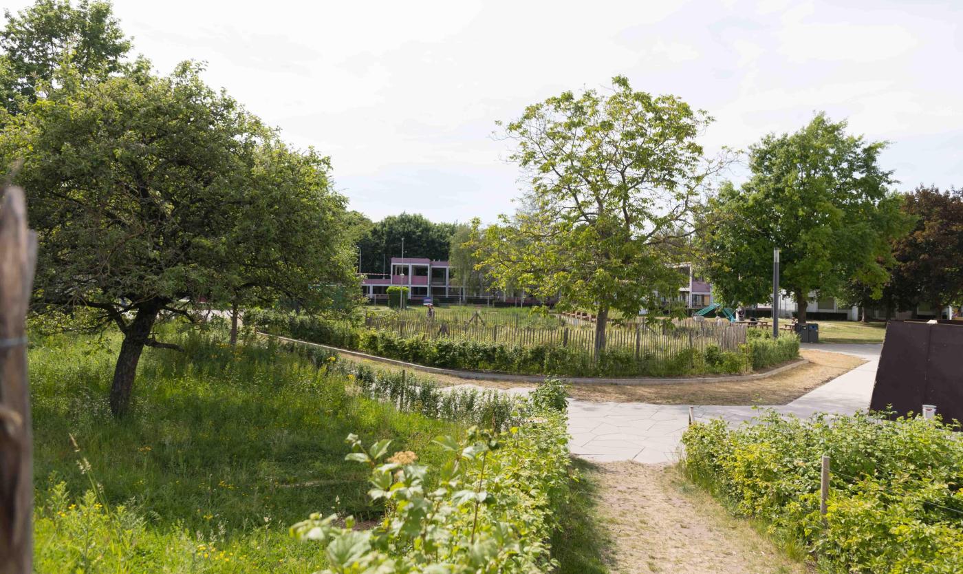 2022_LivingCampusWalk_Duurzaamheid_Groenecampus_VUB