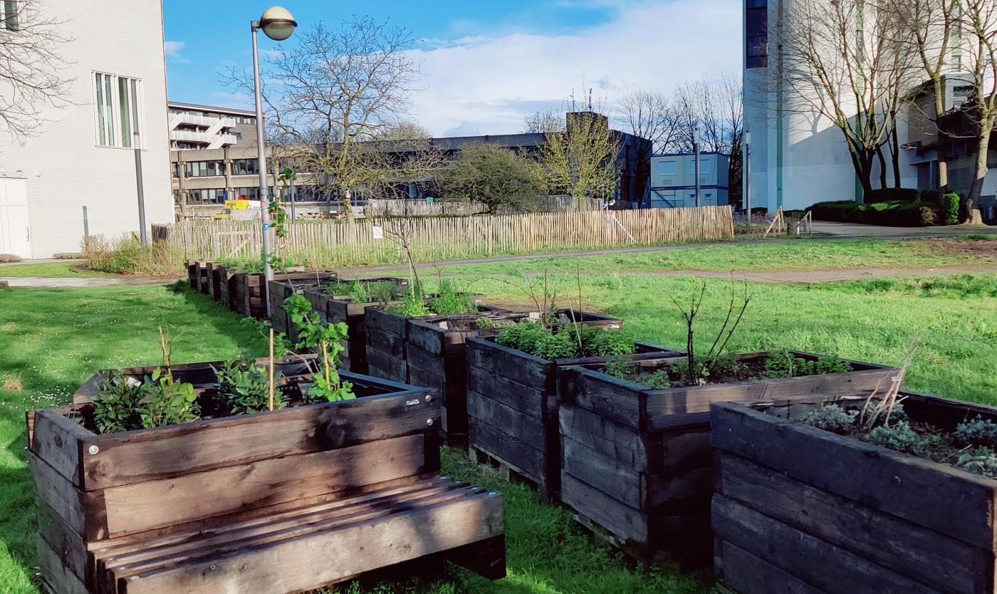 Kruidenbakken Campus Etterbeek