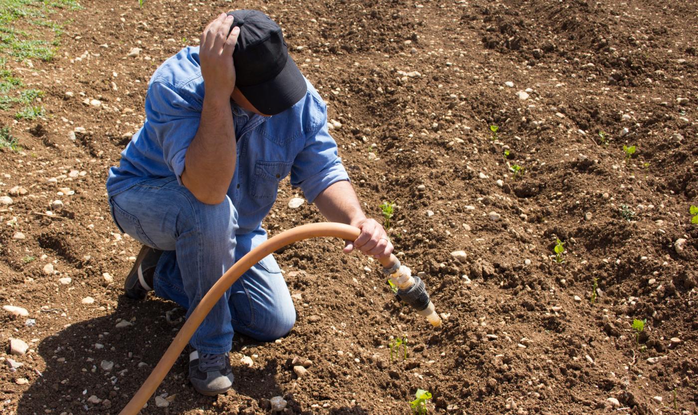 2023_DROOG_DROOGTE_GROND_LANDBOUW_BOER_KLIMAATVERANDERING_2158107025 2023_DROOG_DROOGTE_GROND_LANDBOUW_BOER_KLIMAATVERANDERING_2158107025