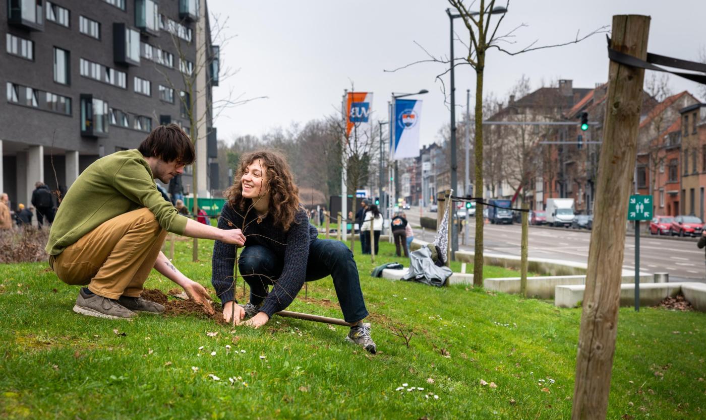 Mensen planten bomen aan op de VUB Main Campus