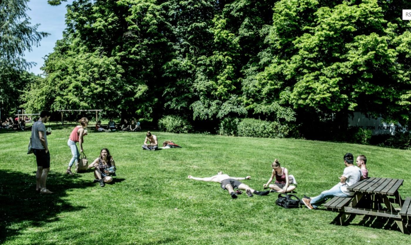 Studenten genieten van de zon op het gras 