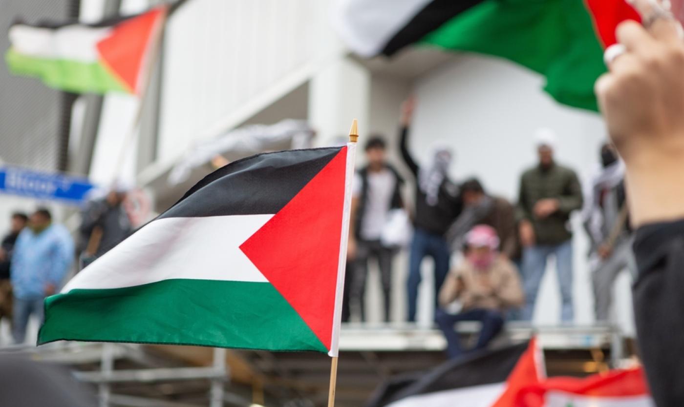 Pro-palestijnse protesten 