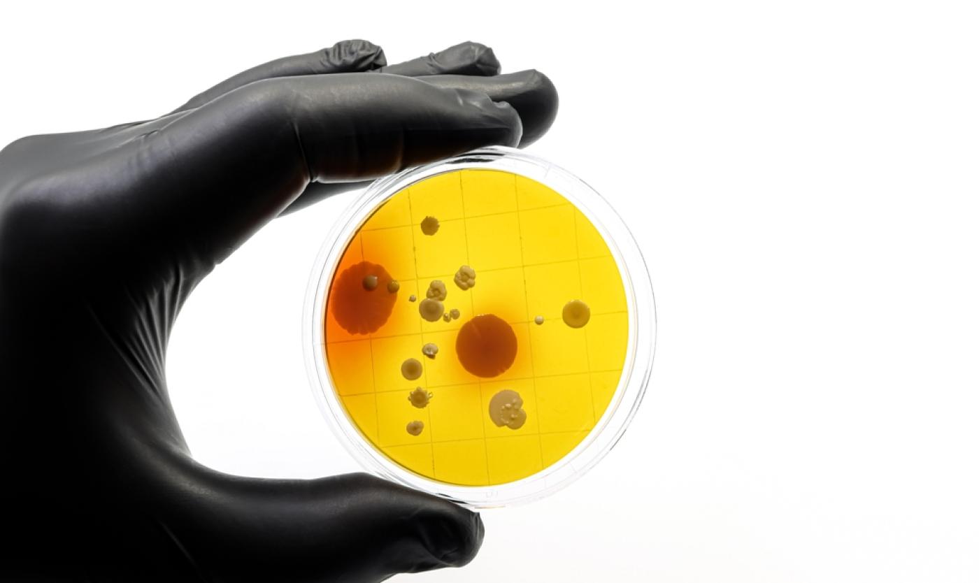 Onderzoek naar antibiotica