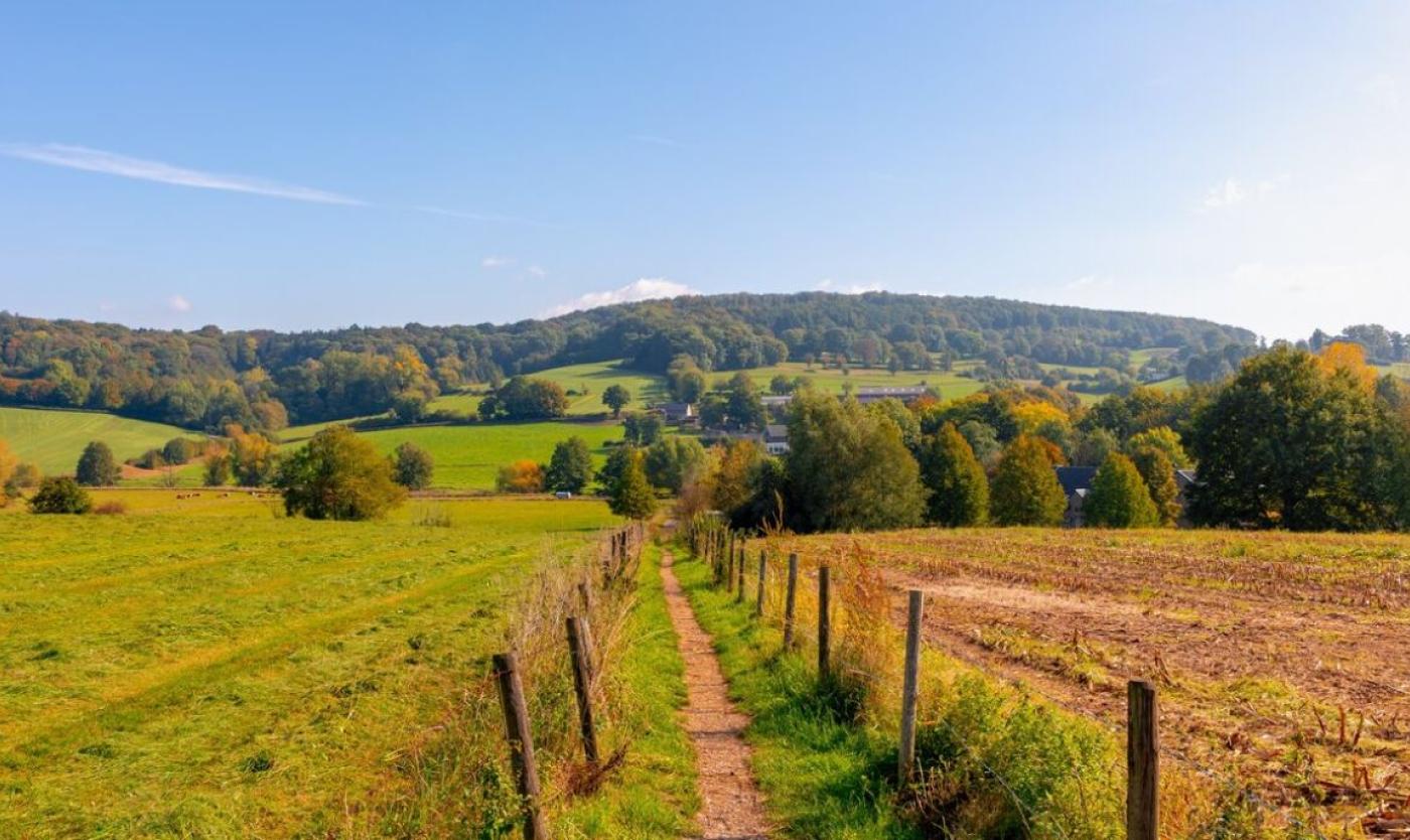 Natuur