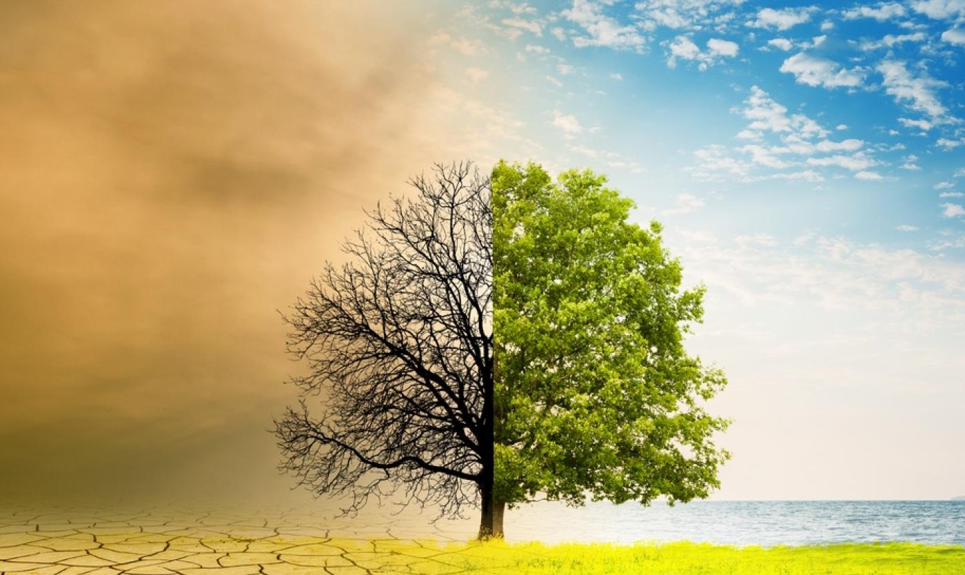 Klimaat boom
