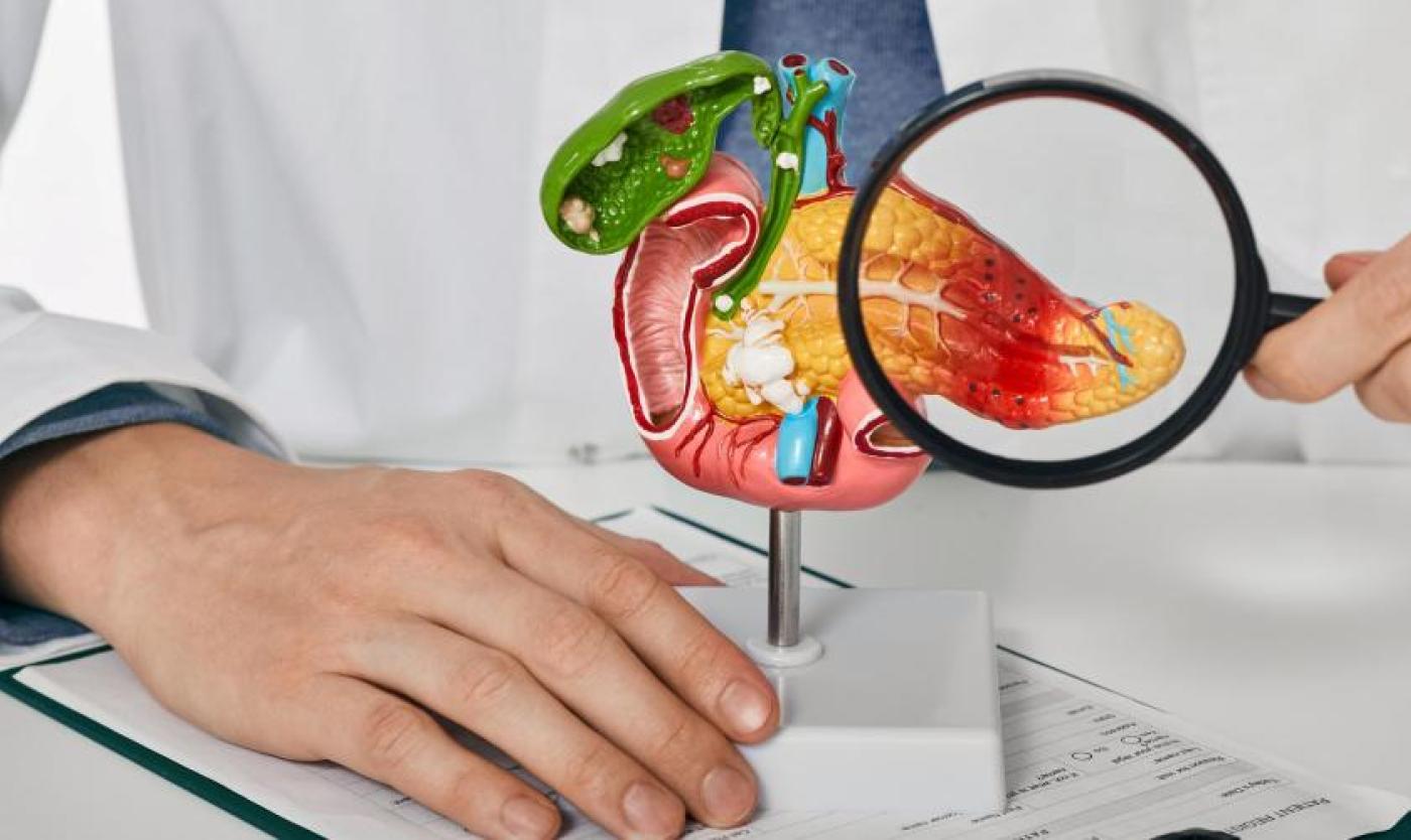 20251021_DiagnosePancreaskanker_Shutterstock.jpg