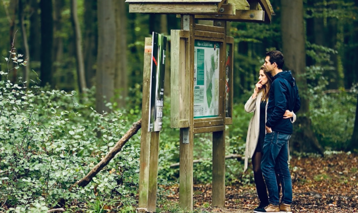 Foto zoniënwoud.png