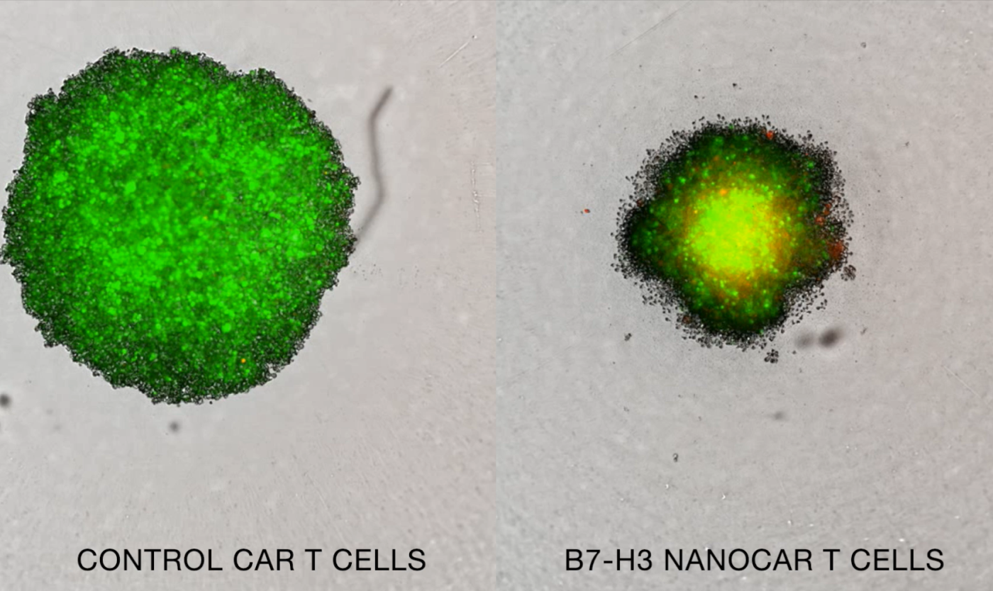 Schermafbeelding 2025-12-10 134233.png