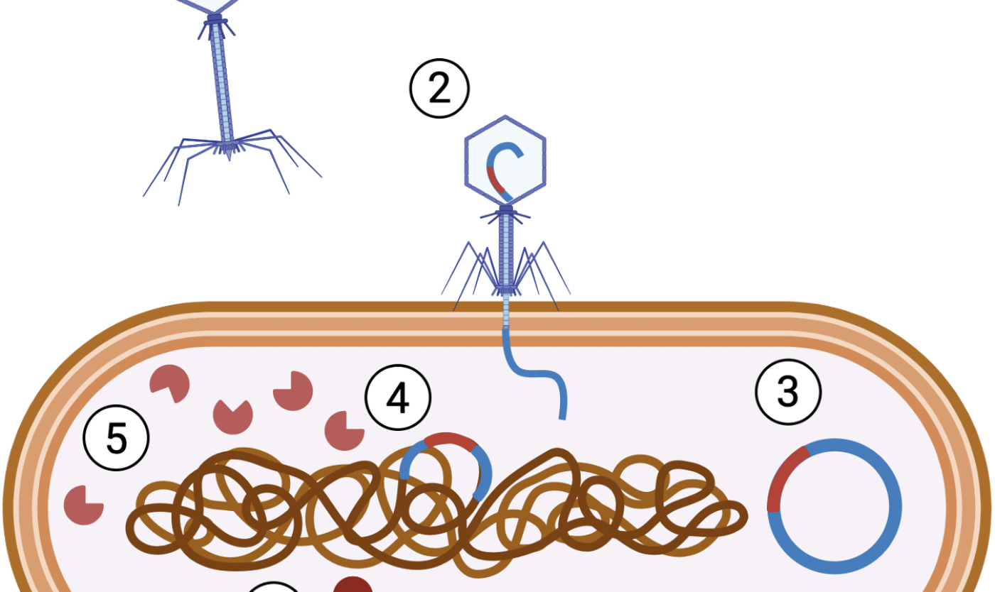 Screenshot 2025-10-28 at 14.39.43.png