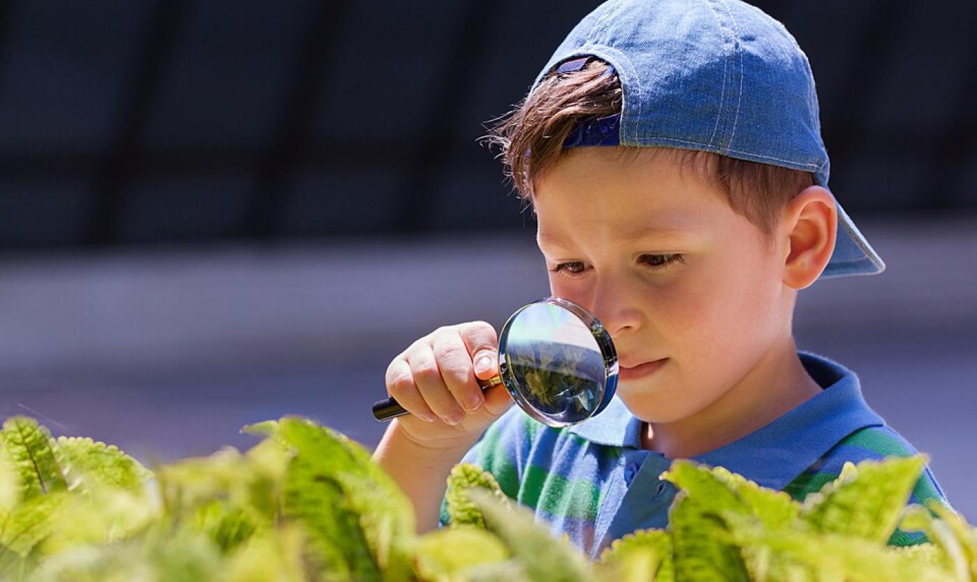 child researcher.jpg