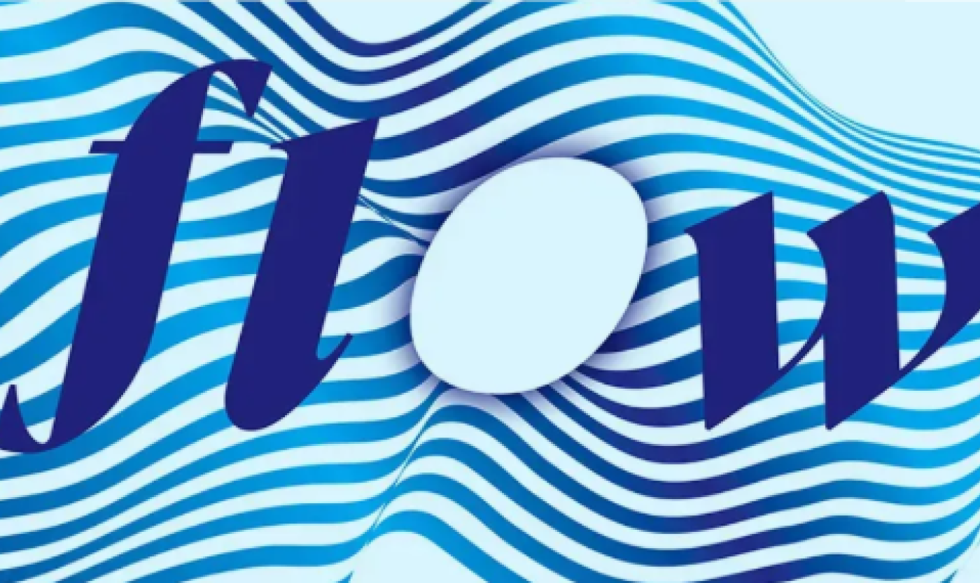 flow.png