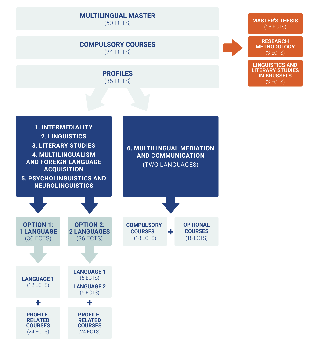 MUMA programme structure 