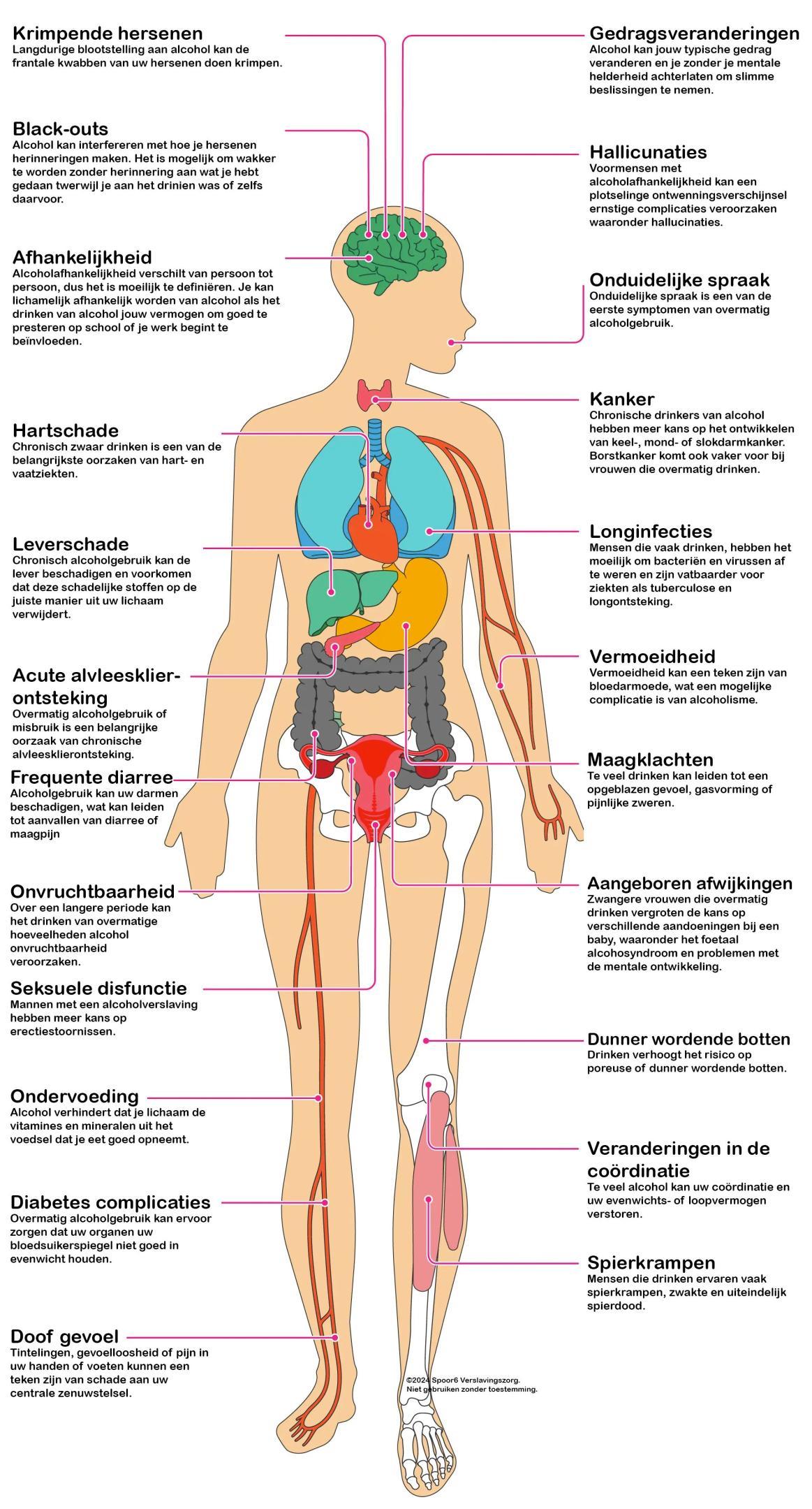 Effecten van alcohol op je lichaam