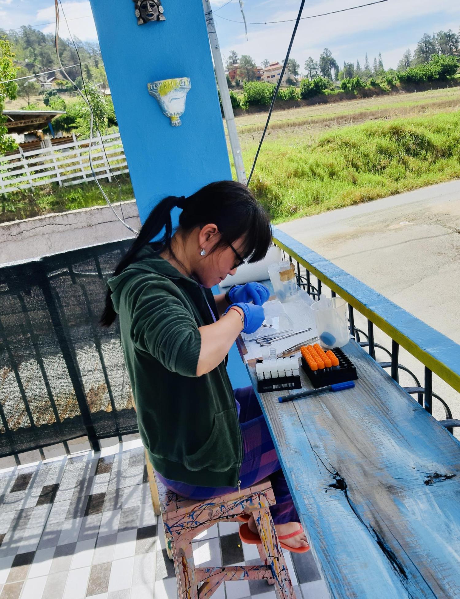 Wen-Juan Ma aan het werk met kikkers