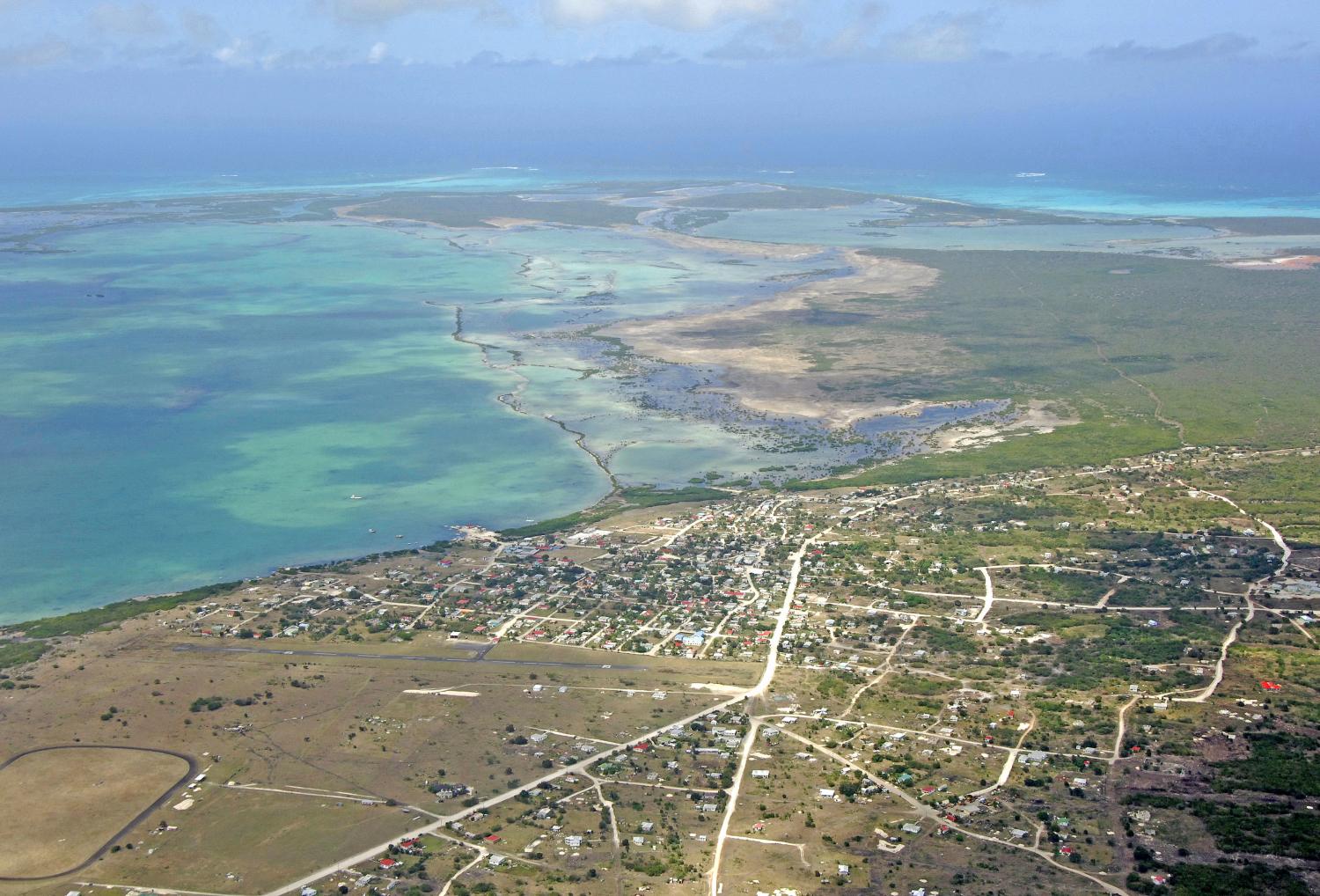 Fig 1 CodringtonAerial.jpg