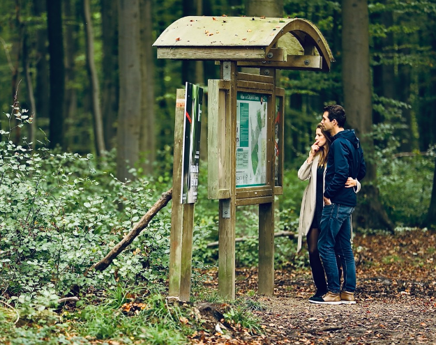 Foto zoniënwoud.png