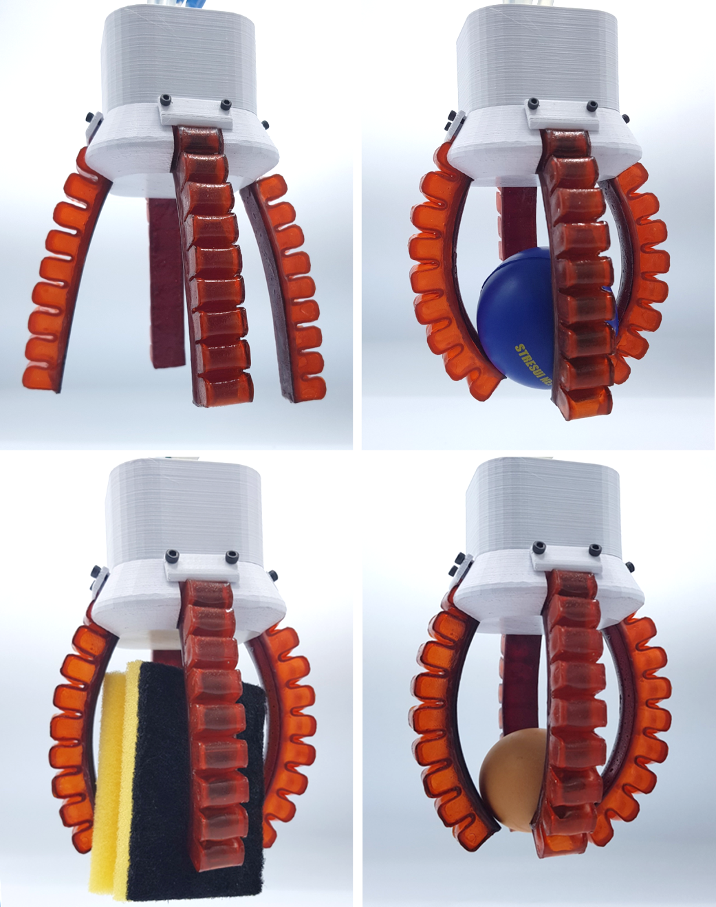SPG_RED.png