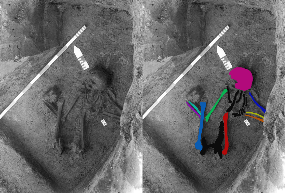 Schermafbeelding 2024-10-24 094857.png