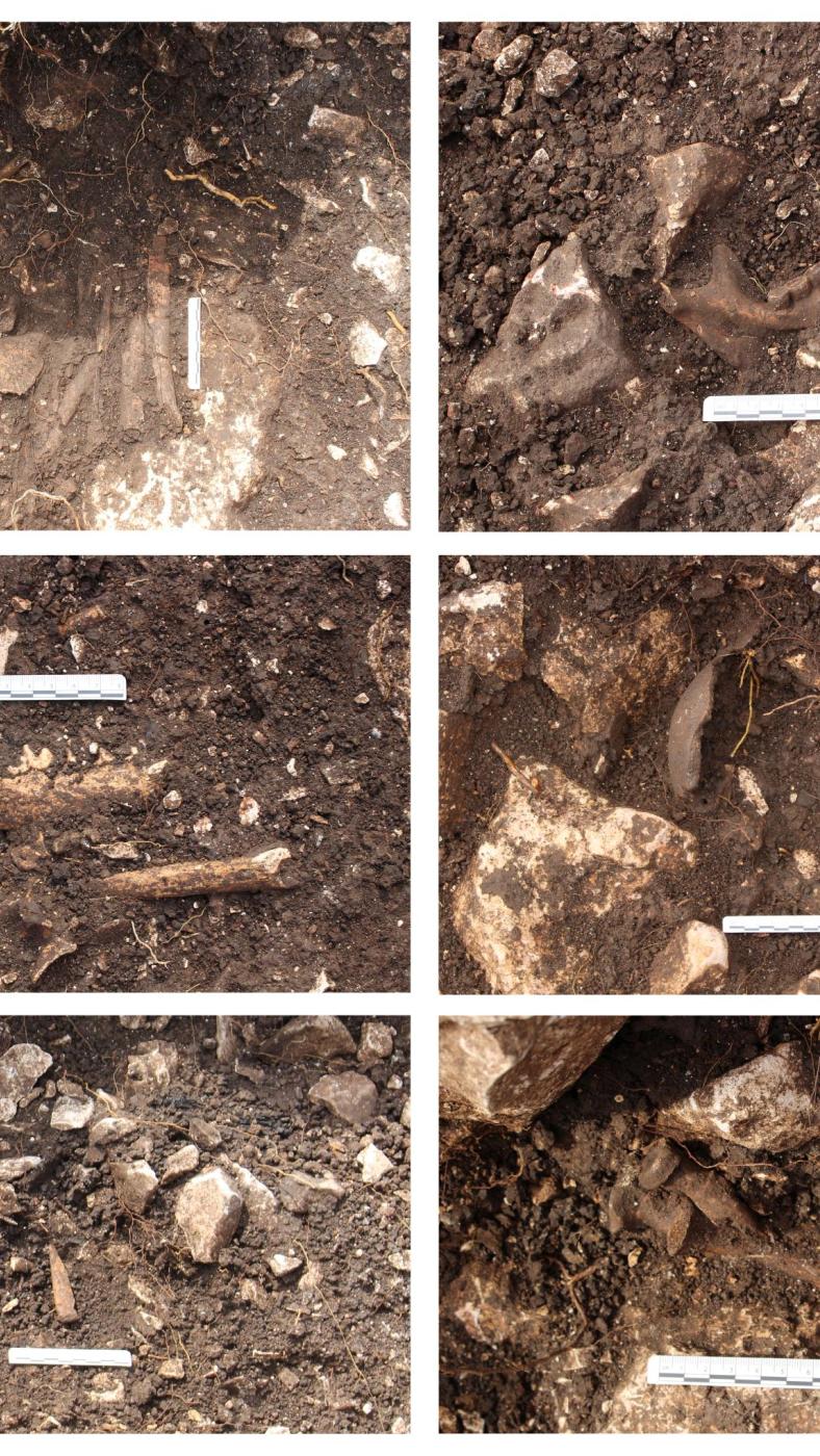 archeologie Jacob Griffith