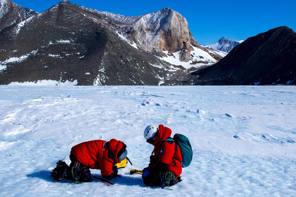 Antarctica Antarctica