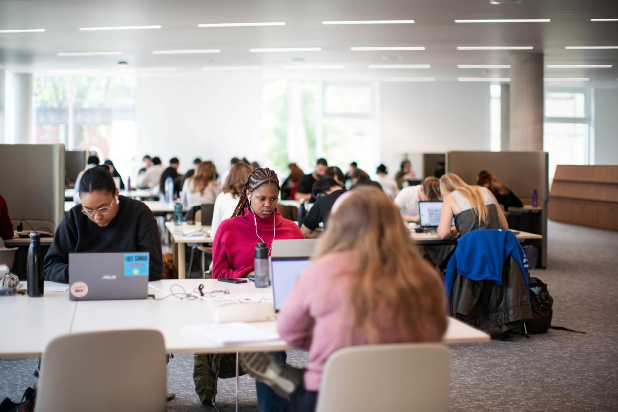 Het LIC is meer dan een studieplek. Het LIC is meer dan een studieplek.