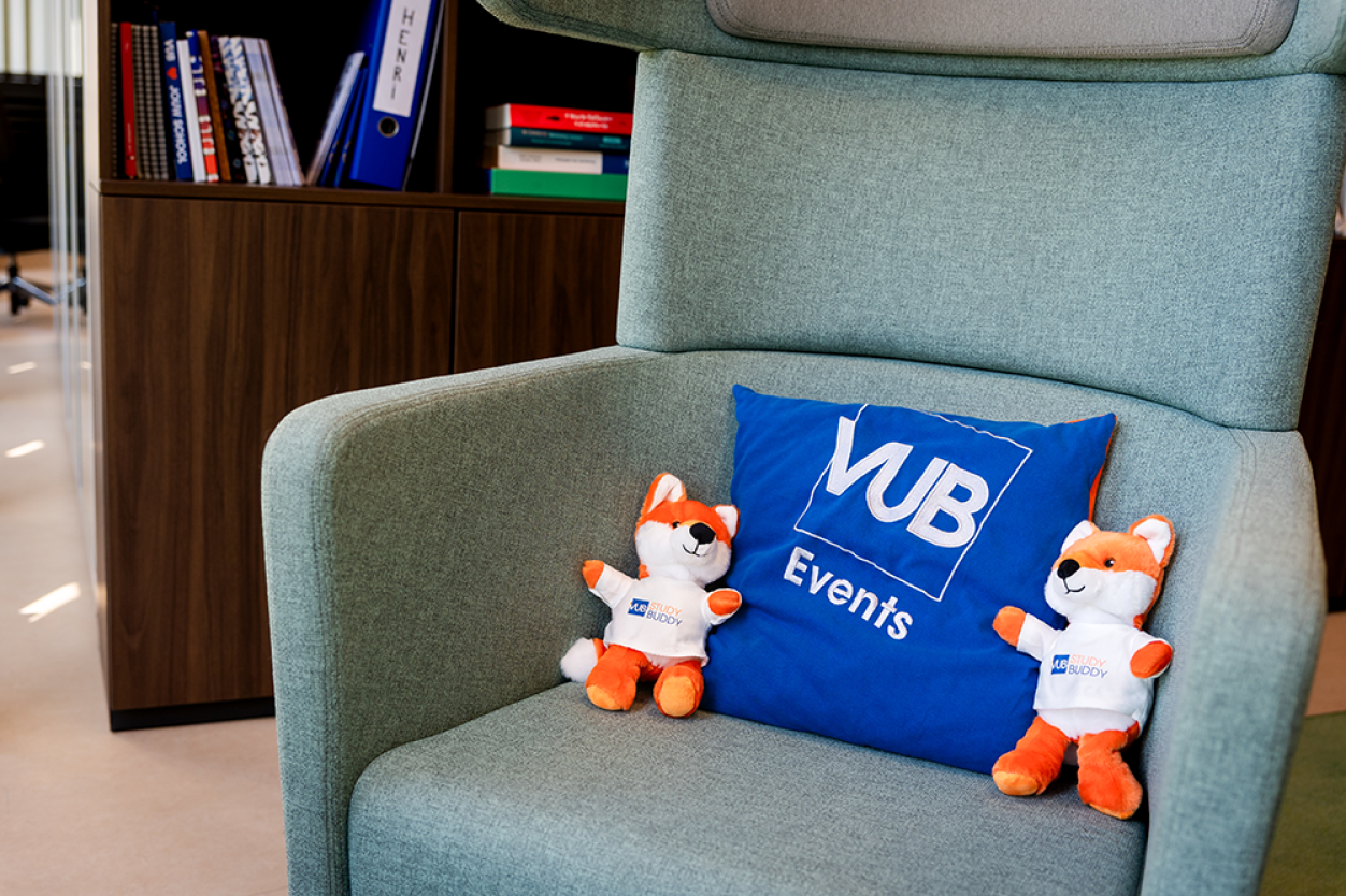 VUB-kussen