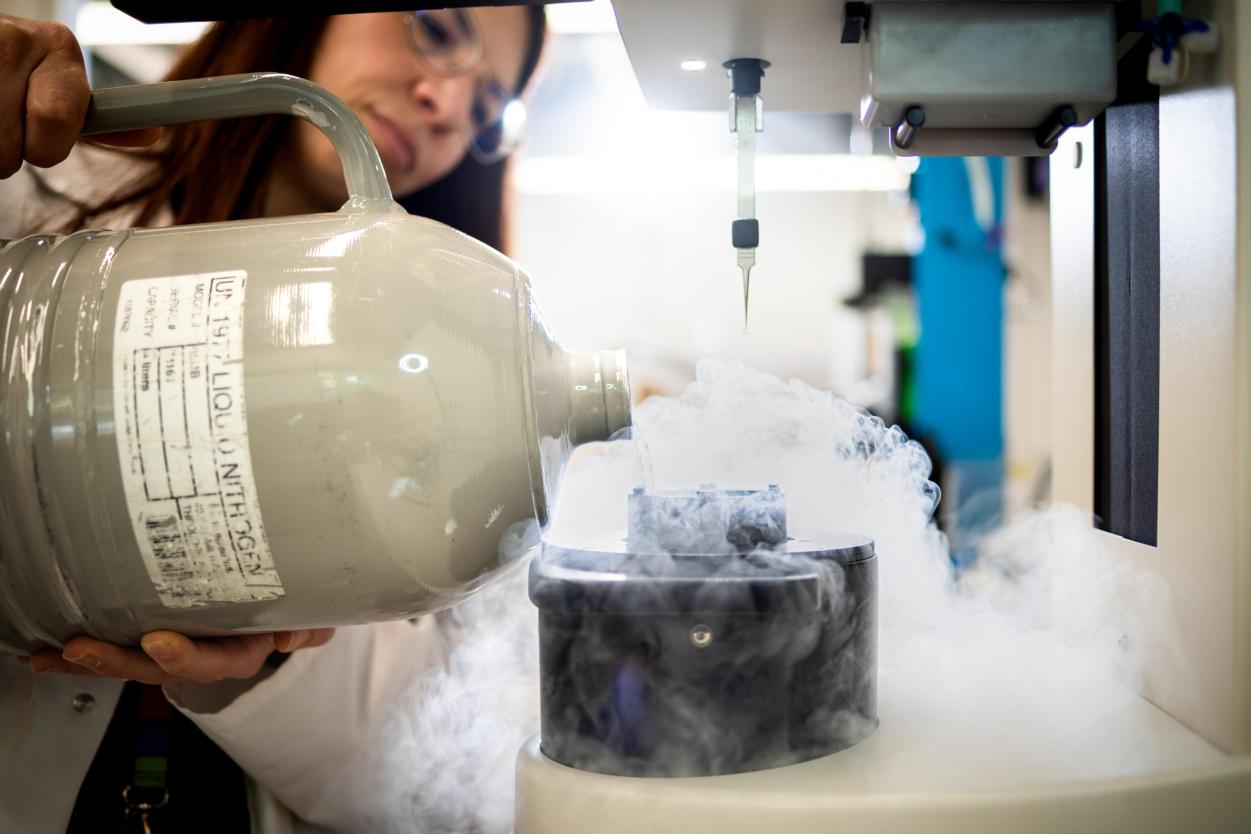 BCEM Cryo Electron Microscope research group