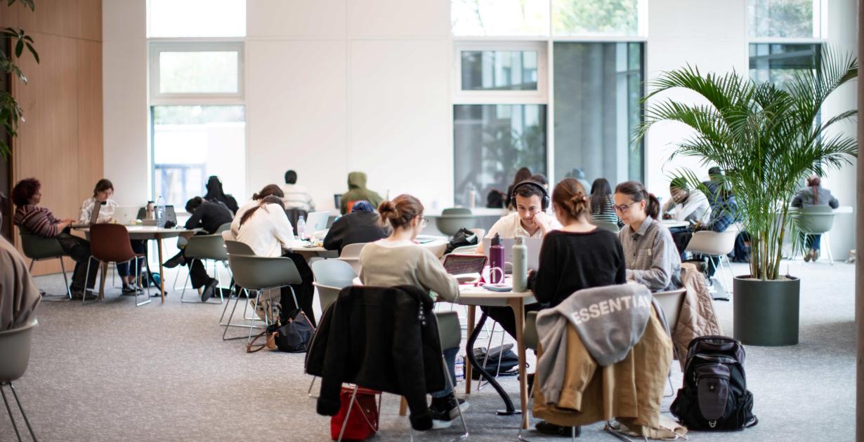 LIC: A Center for Learning, Innovation and Collaboration | Vrije ...