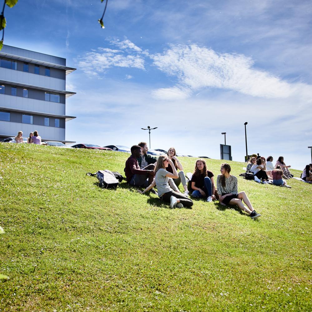 Studenten op gras aan het praten op Health Campus in Jette