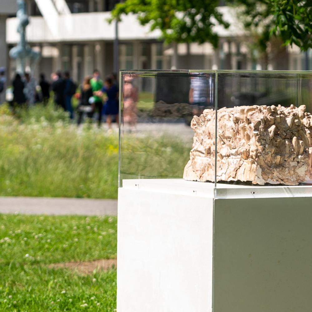 2022_Dan STOCKHOLM - Geen titel (2020)_Humanistisch Sculpturenpark_Etterbeek_VUB 2022_Dan STOCKHOLM - Geen titel (2020)_Humanistisch Sculpturenpark_Etterbeek_VUB