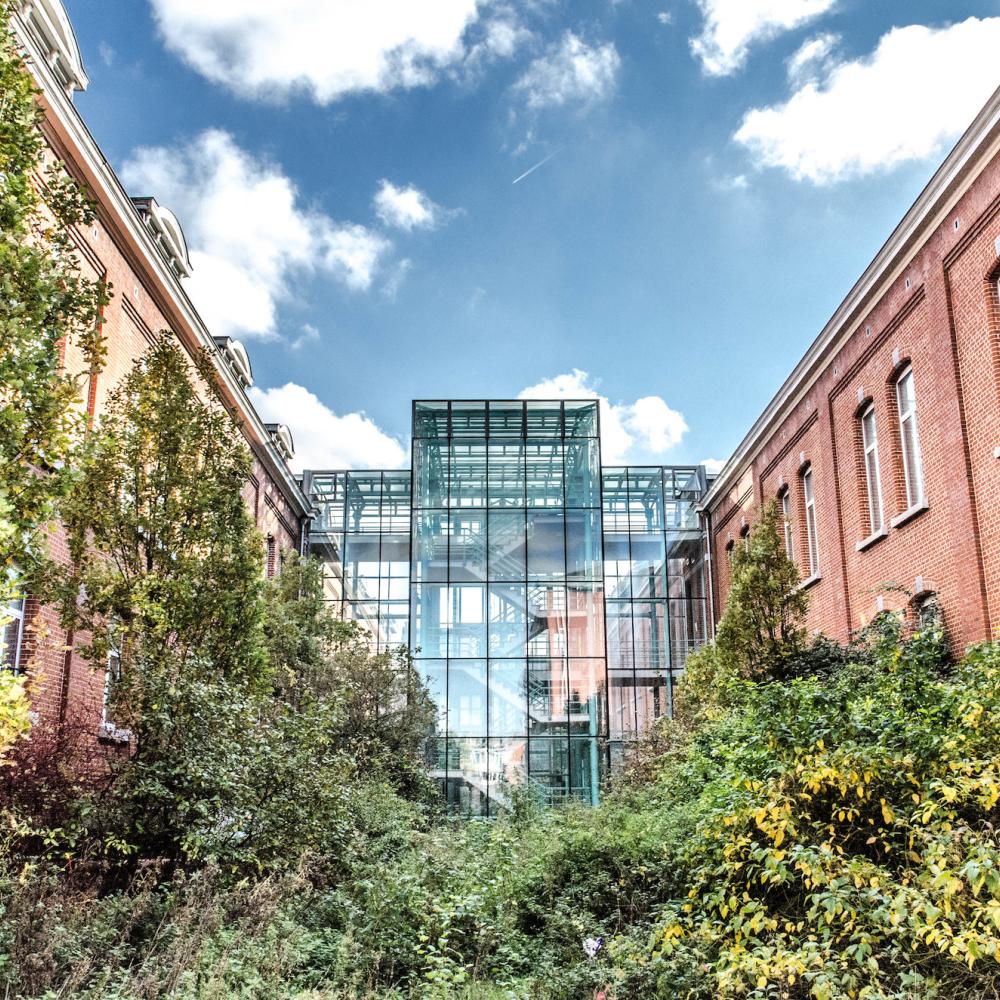 2022_Gebouw G_De Kazernes_Groen_Natuur_Bomen_VUB 2022_Gebouw G_De Kazernes_Groen_Natuur_Bomen_VUB