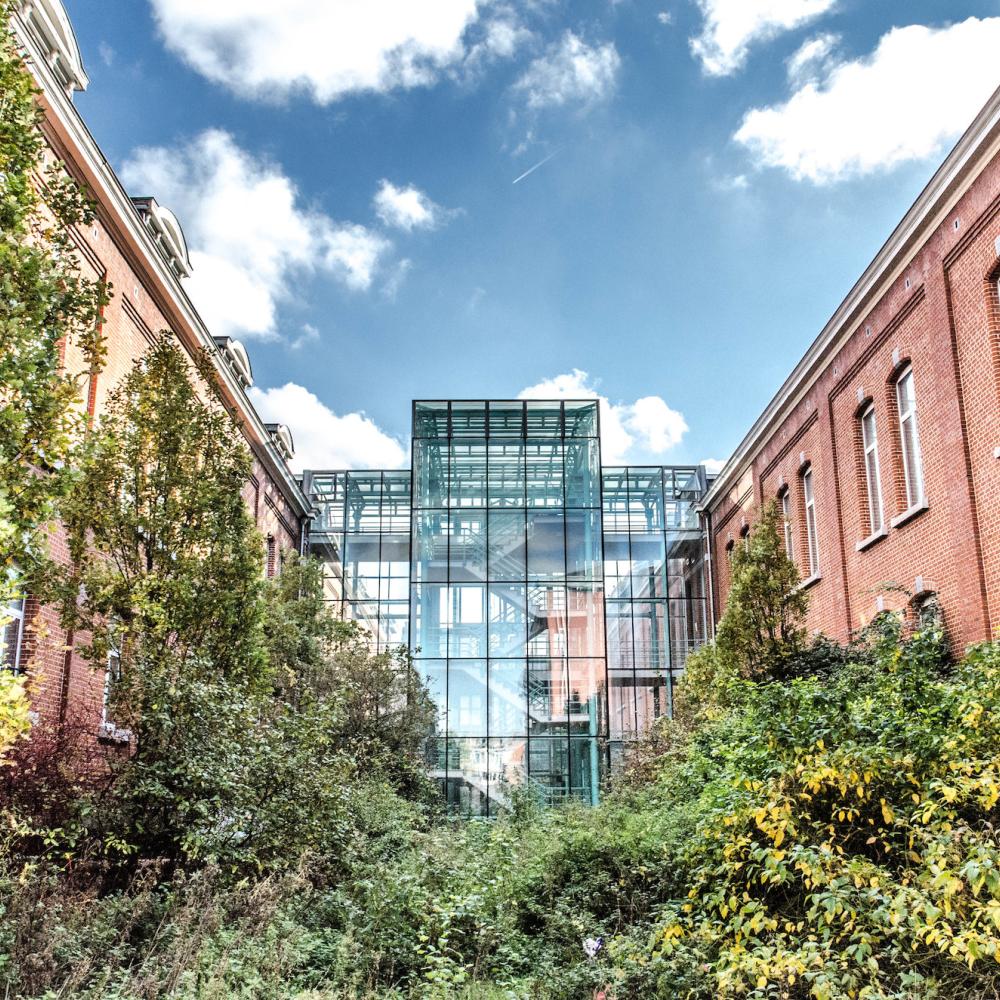 2022_Gebouw G_De Kazernes_Groen_Natuur_Bomen_VUB