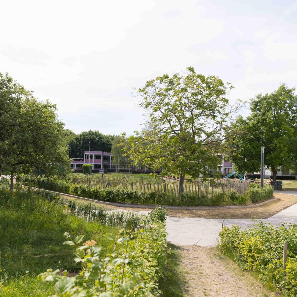 2022_LivingCampusWalk_Duurzaamheid_Groenecampus_VUB