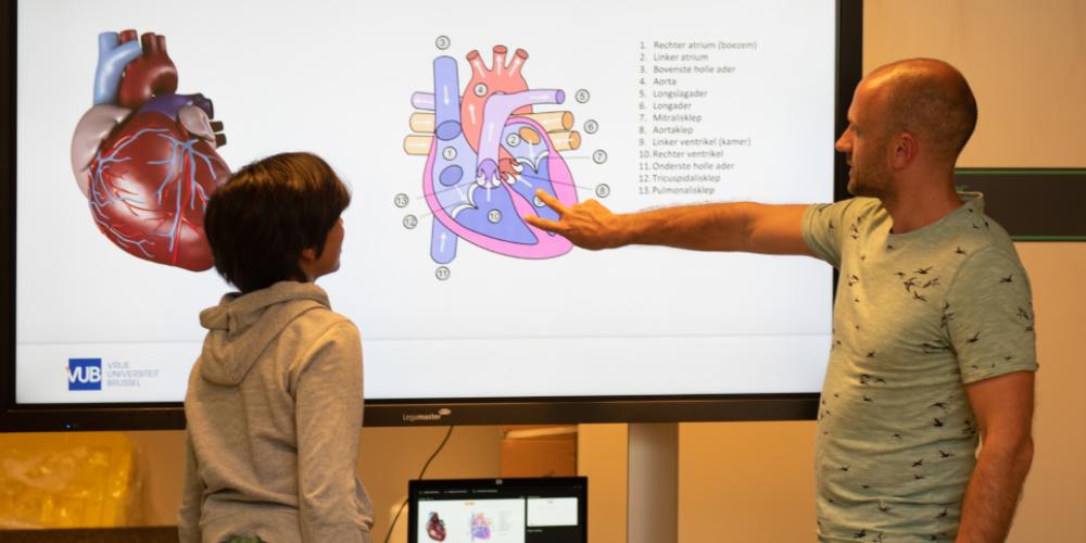 2022_Docent legt de werking van het hart uit aan een kind_Kinderuniversiteit_VUB 2022_Docent legt de werking van het hart uit aan een kind_Kinderuniversiteit_VUB