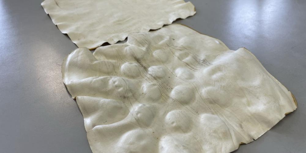 "Engineered Living Materials" (ELM's) of zelf helend “schimmelleer” 2022_Engineered_Living_Materials_ELM_schimmelleer.jpeg