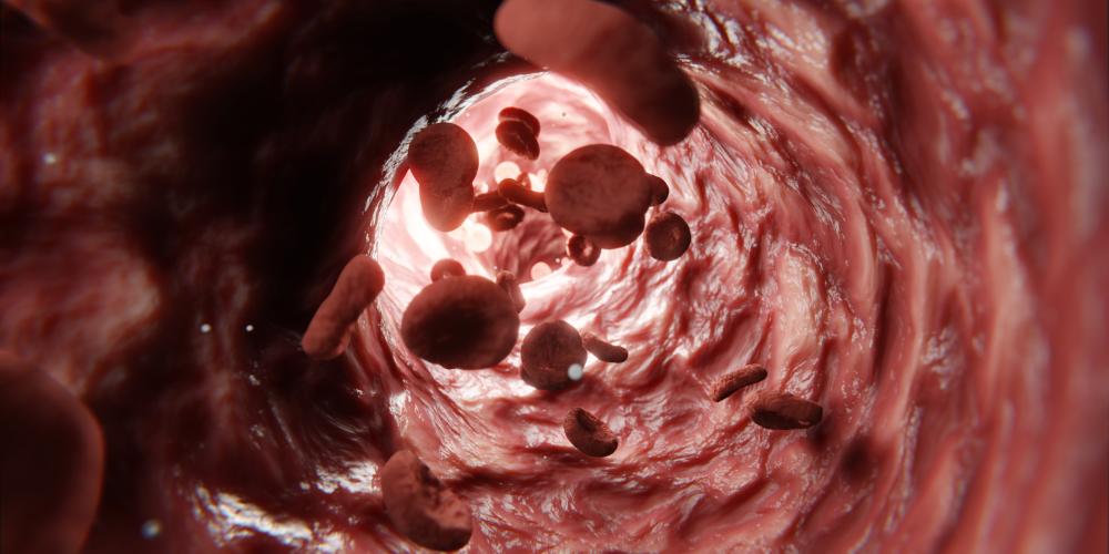 2022_BLOEDCELLEN_S2228906443