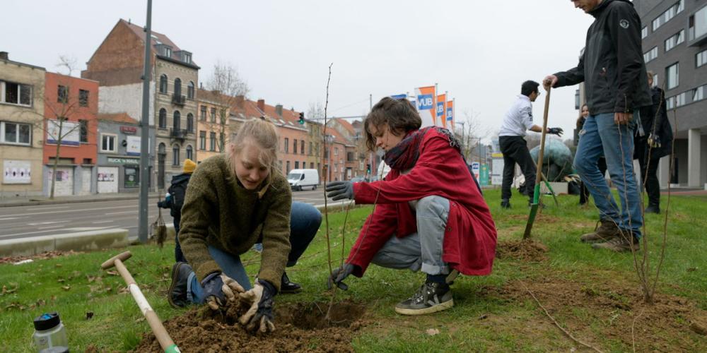 2023_BOOM_PLANTEN_DUURZAAMHEID_VUB