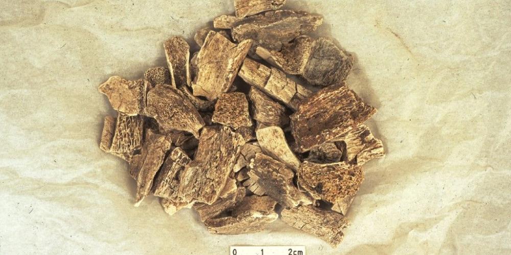 Stukjes VIKINGBOT van de UNIVERSITY_OF_YORK 2023_VIKING_BOT_JULIAN_RICHARDS_UNIVERSITY_OF_YORK