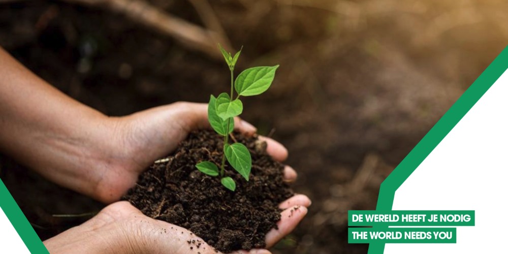 Boomplant Actie Green Team - DWHJN - Planet 2.0