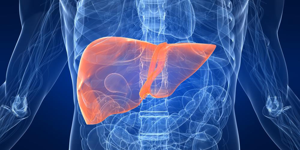 2023_Lever_ingewanden_toxicologie_leverziekte_S18223570