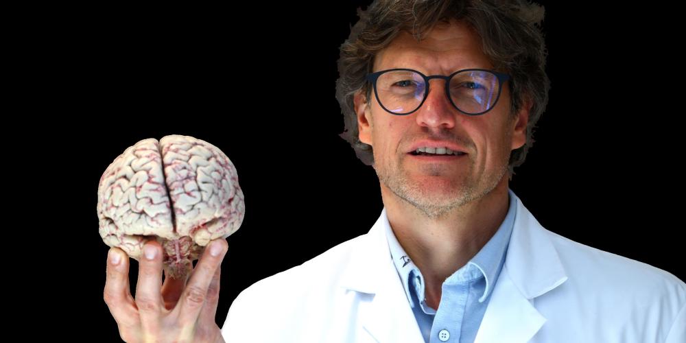 Professor neuroloog Steven Laureys Neuroloog Steven Laureys