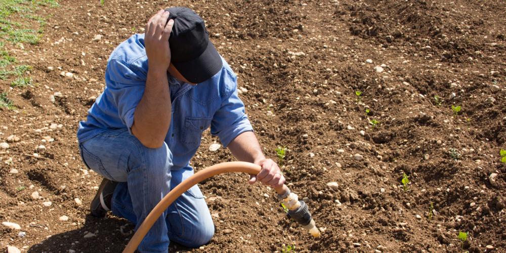 2023_DROOG_DROOGTE_GROND_LANDBOUW_BOER_KLIMAATVERANDERING_2158107025 2023_DROOG_DROOGTE_GROND_LANDBOUW_BOER_KLIMAATVERANDERING_2158107025