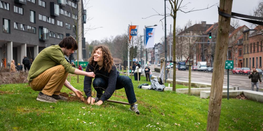 Mensen planten bomen aan op de VUB Main Campus