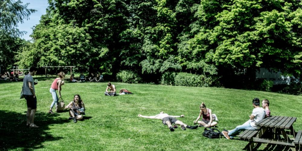 Studenten genieten van de zon op het gras 